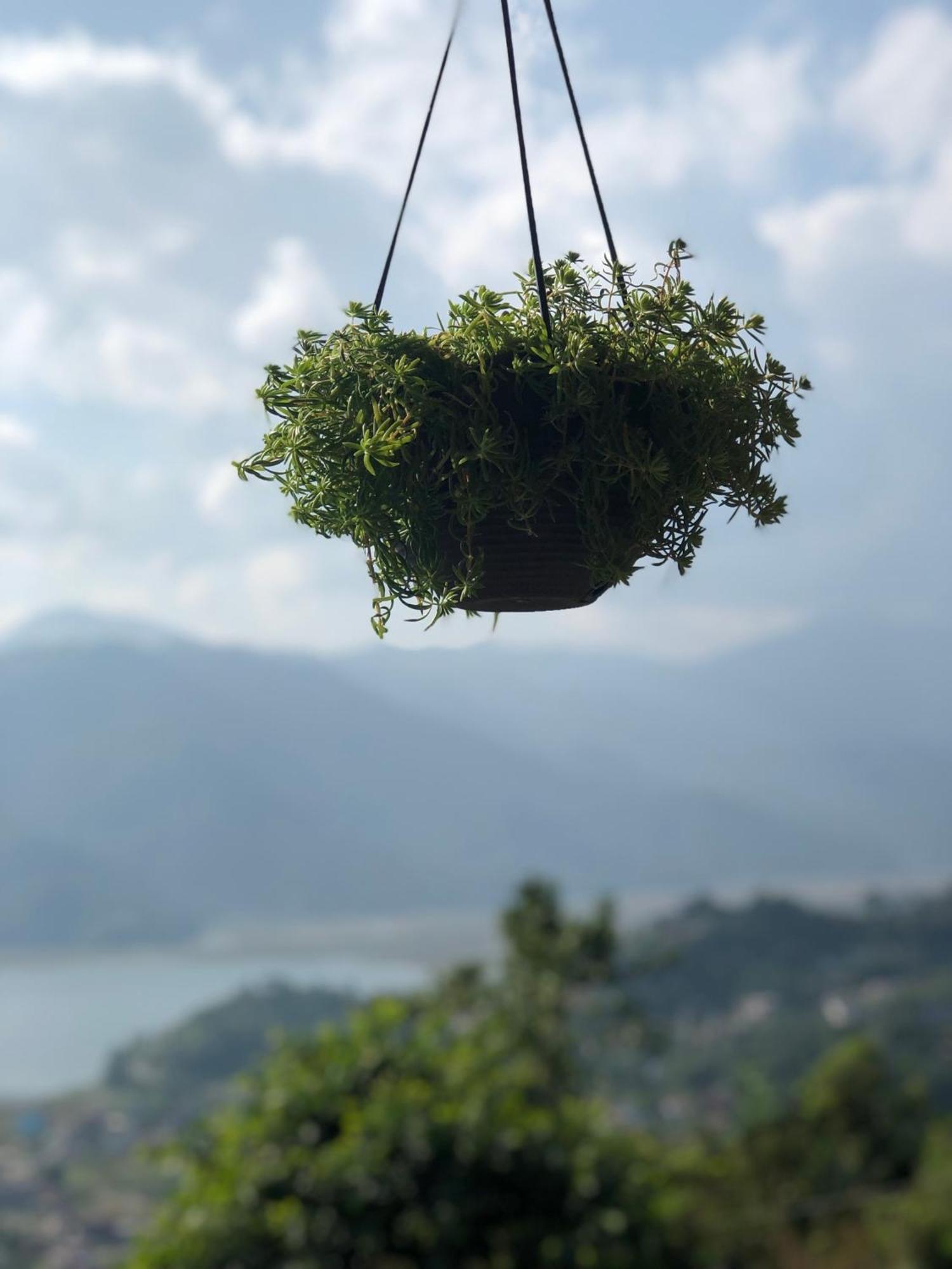 Вілла Into The Wild Pokhara Kaski Екстер'єр фото