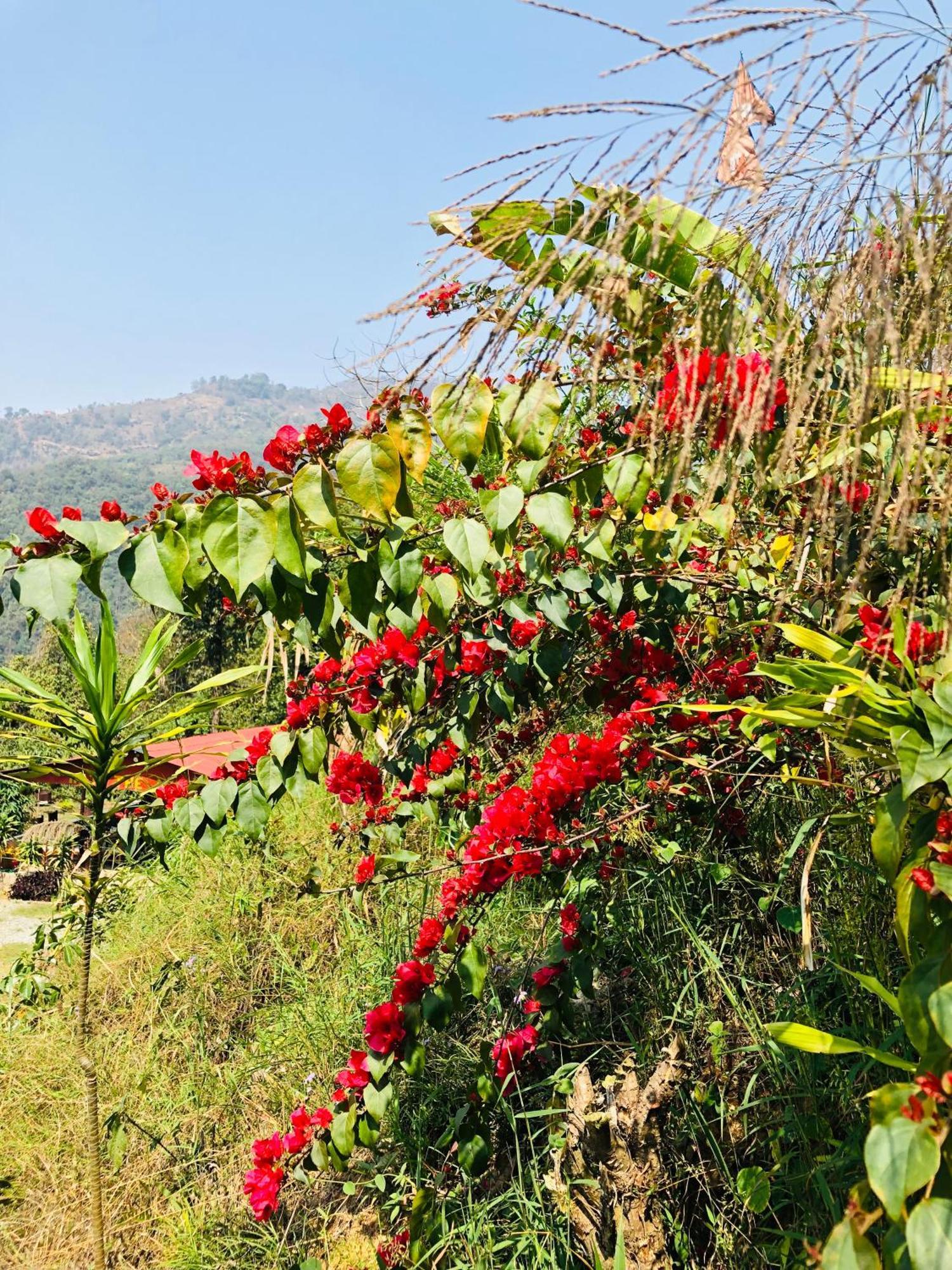 Вілла Into The Wild Pokhara Kaski Екстер'єр фото