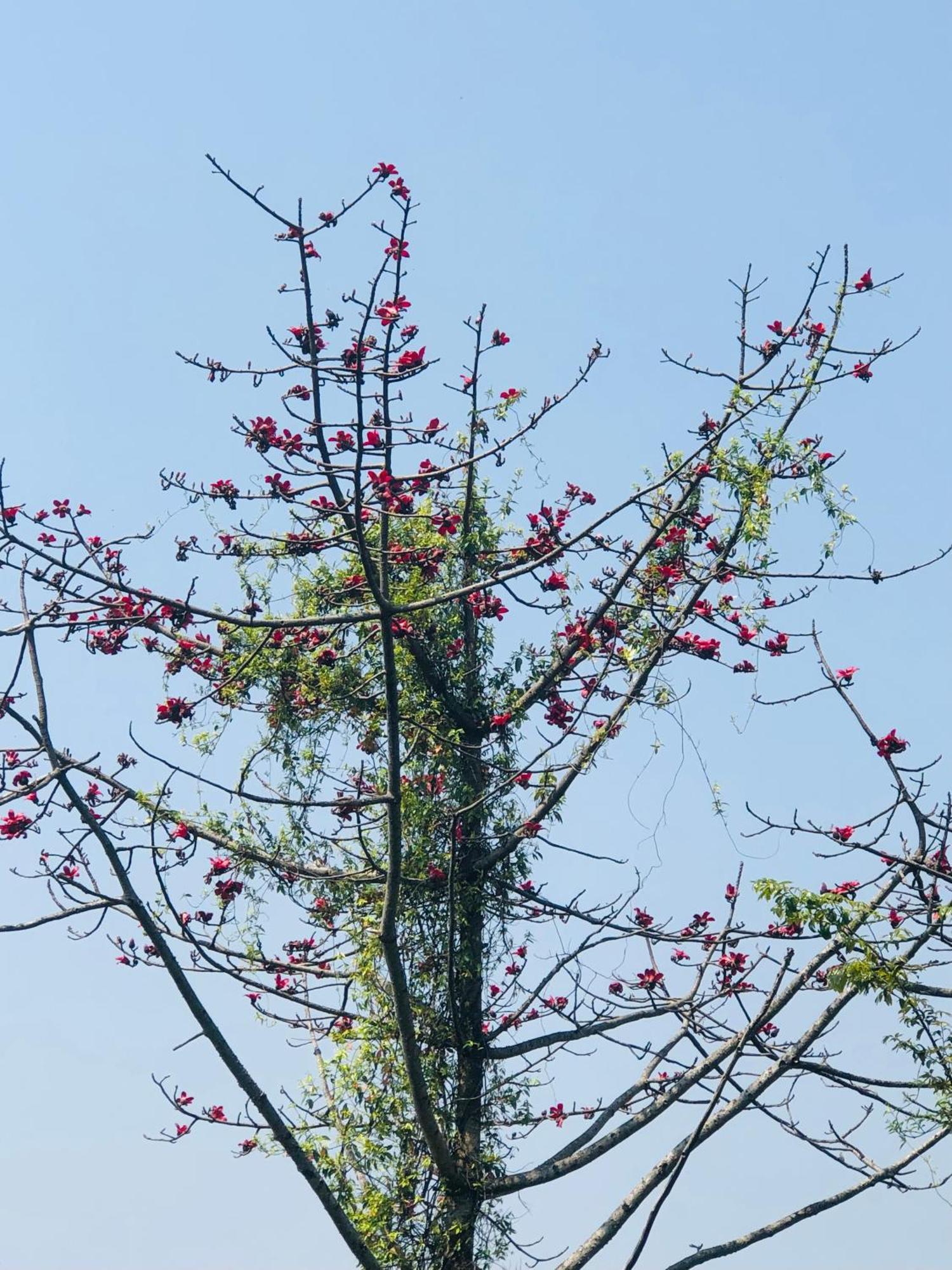 Вілла Into The Wild Pokhara Kaski Екстер'єр фото
