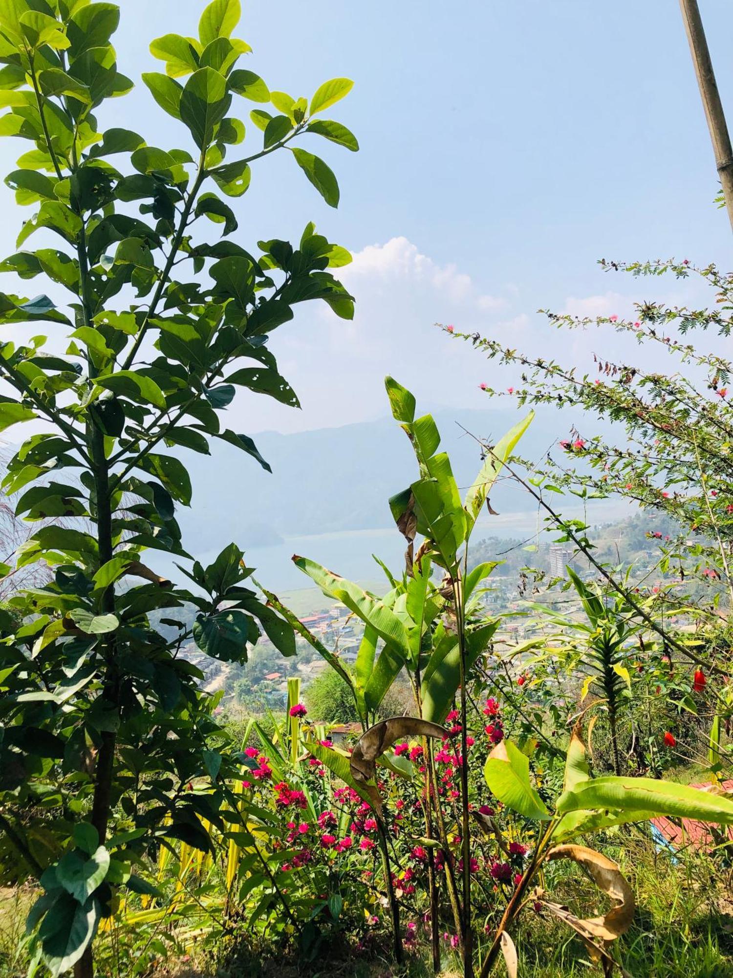Вілла Into The Wild Pokhara Kaski Екстер'єр фото